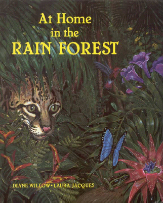 Title details for At Home in the Rainforest by Diane Willow - Available